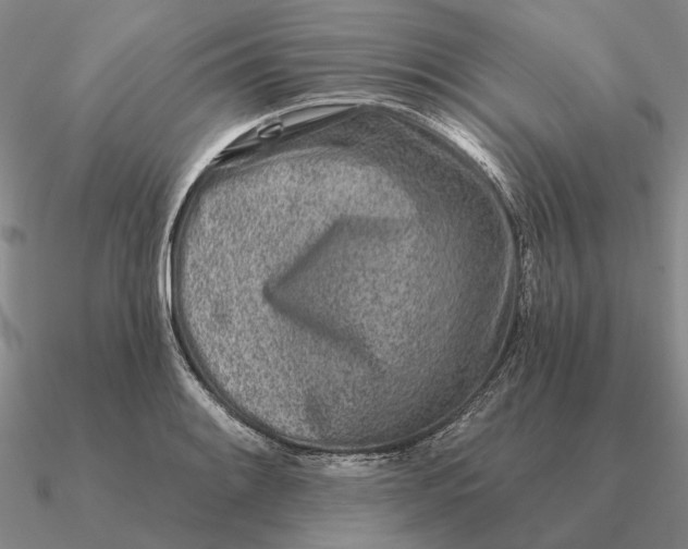 X0000090611084200708071158