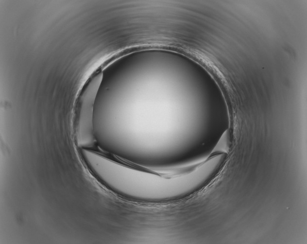 X0000090611085200708071158