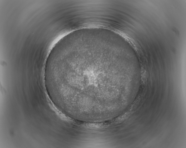 X0000090611086200708071158