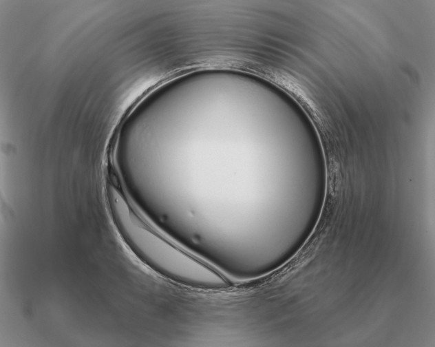 X0000090611087200708071158