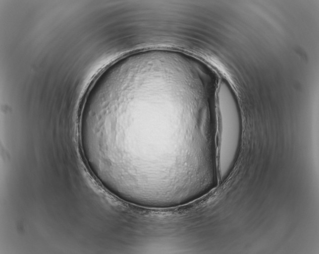 X0000090611088200708071158