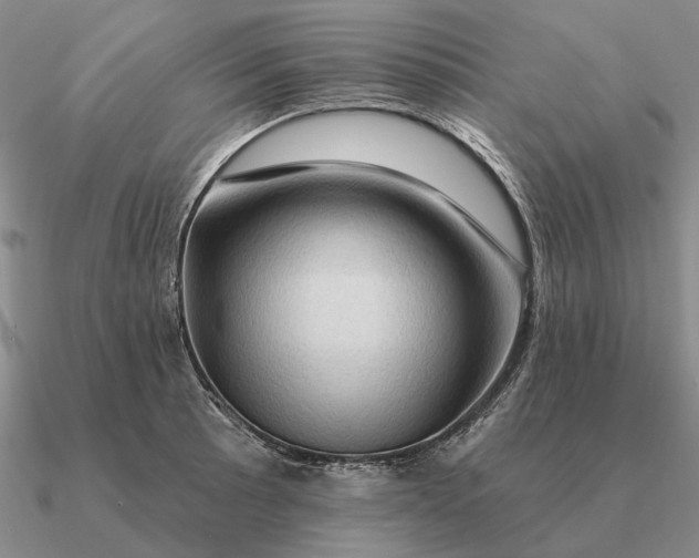 X0000090611089200708071158