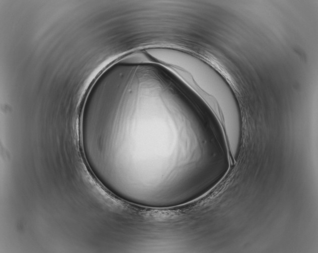 X0000090611092200708071158