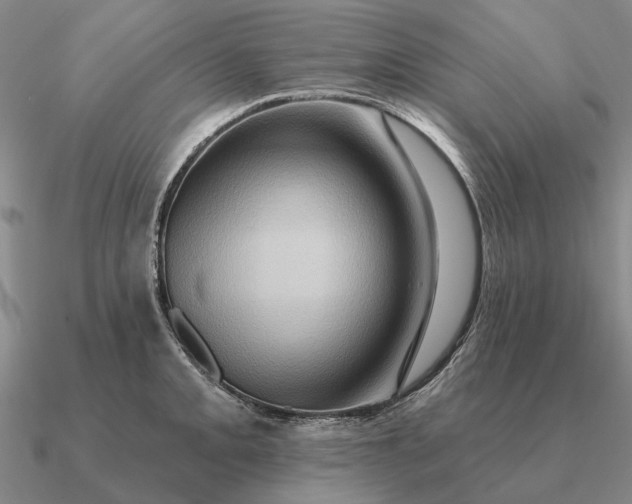 X0000090611093200708071158