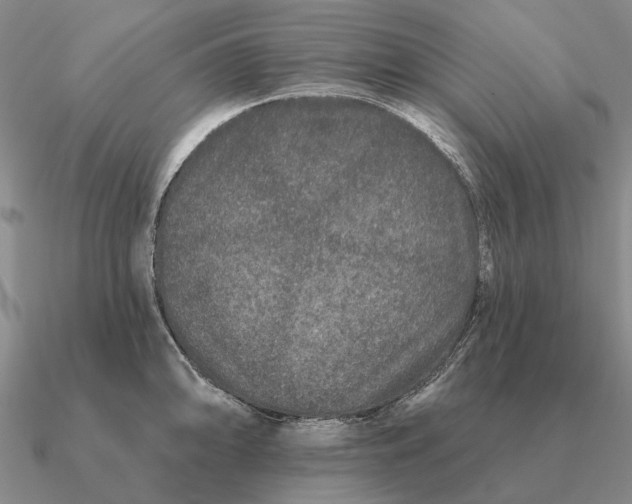 X0000090611094200708071158