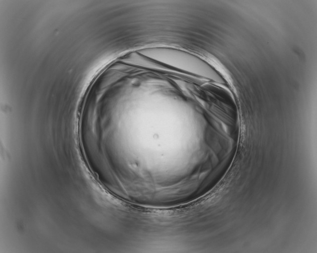 X0000090611096200708071158