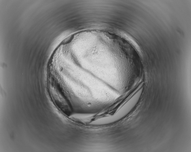 X0000090611099200708071158