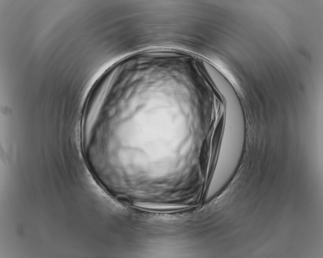 X0000090611100200708071158