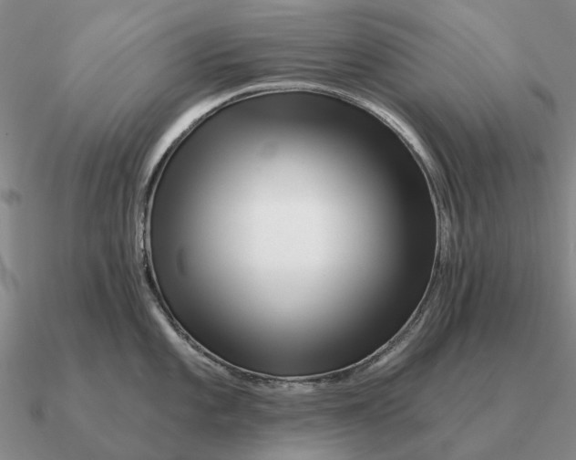 X0000090611101200708071158