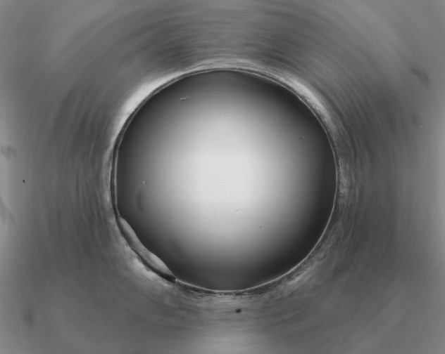 X0000090611102200708071158