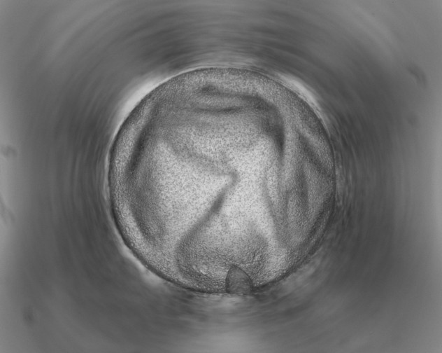 X0000090611103200708071158