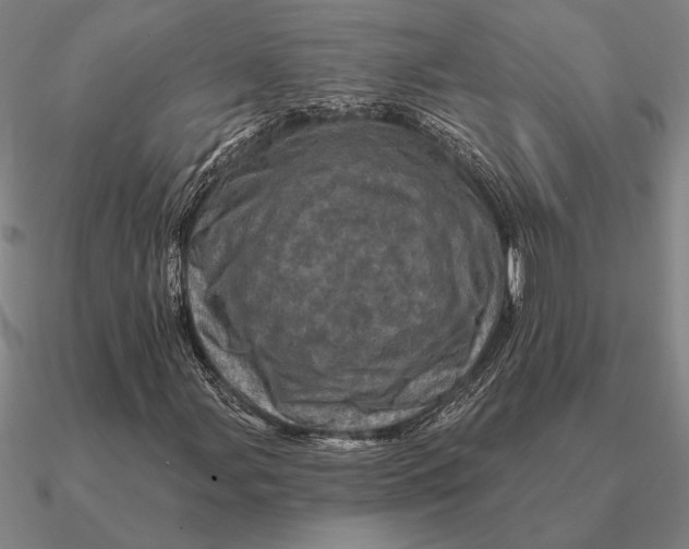 X0000090611107200708071157