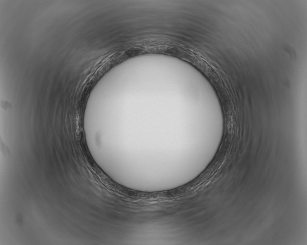 X0000090611108200708071157