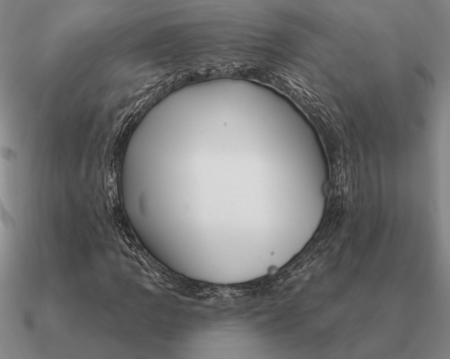 X0000090611109200708071157