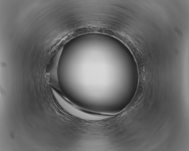 X0000090611110200708071157