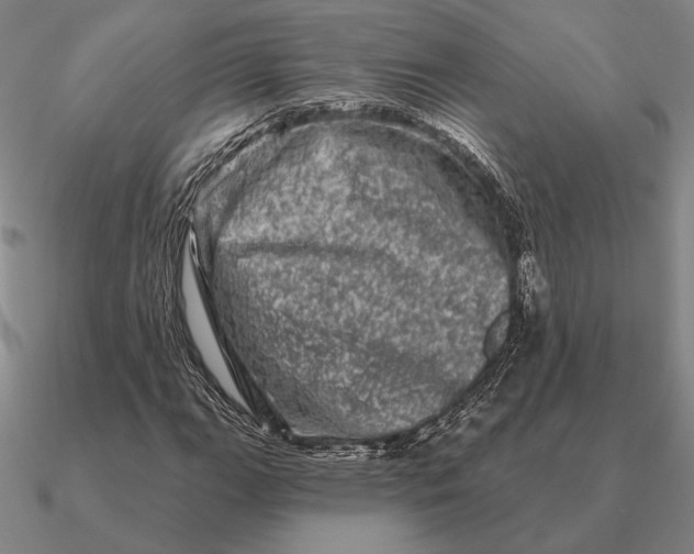 X0000090611111200708071157