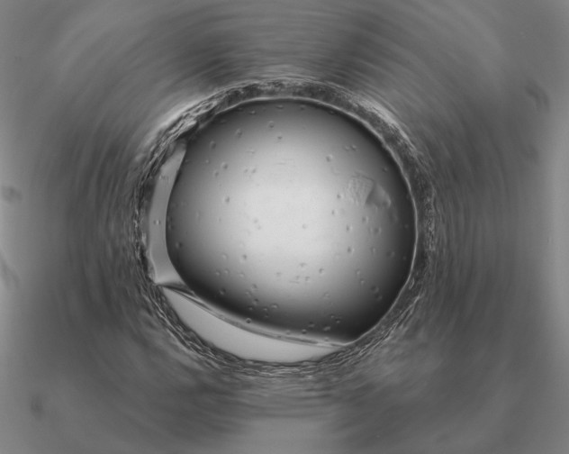 X0000090611112200708071158