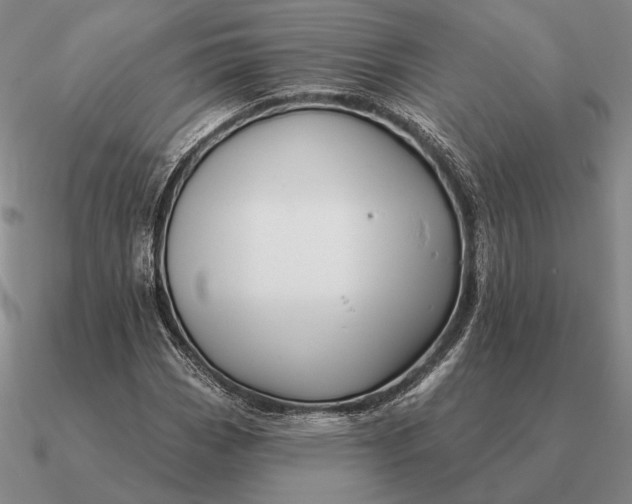 X0000090611113200708071158