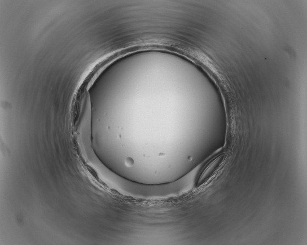 X0000090611116200708071158