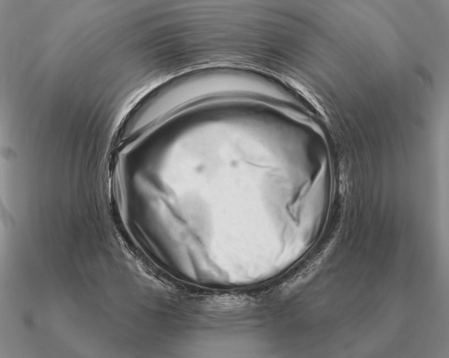 X0000090611117200708071158