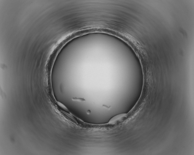 X0000090611118200708071158