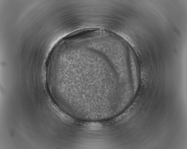 X0000090611119200708071158