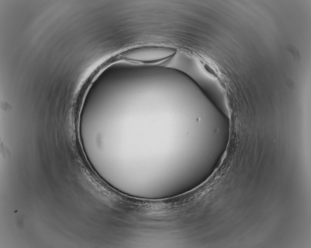 X0000090611120200708071158