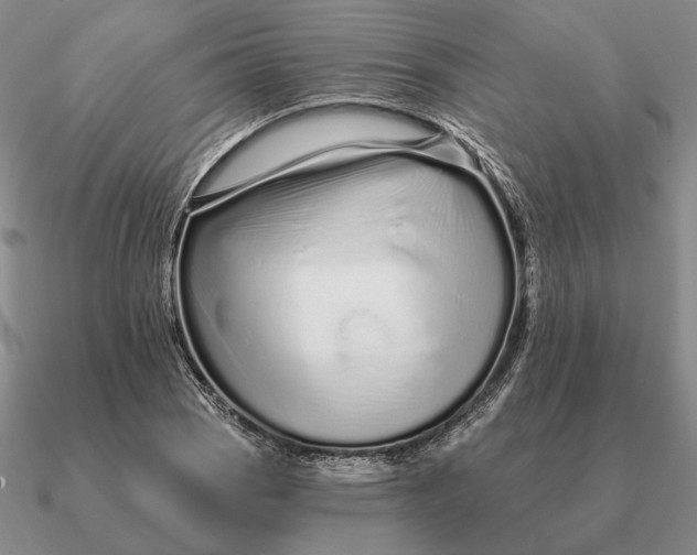 X0000090611121200708071158