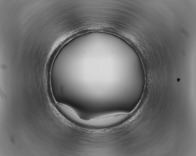 X0000090611122200708071158