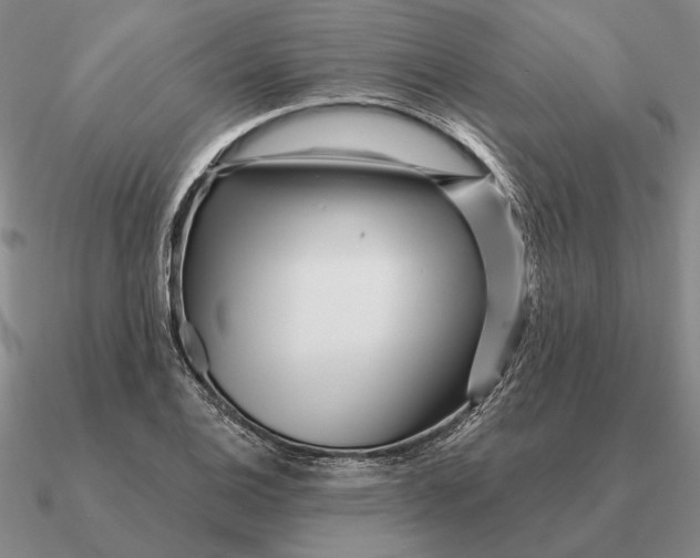 X0000090611124200708071158