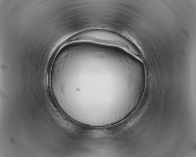 X0000090611125200708071158