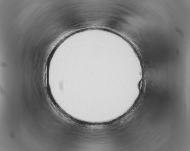 X0000090611126200708071158