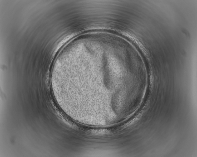 X0000090611129200708071158