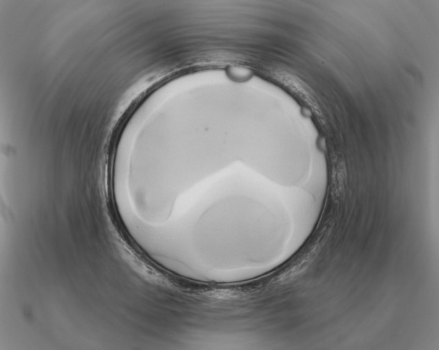 X0000090611130200708071158