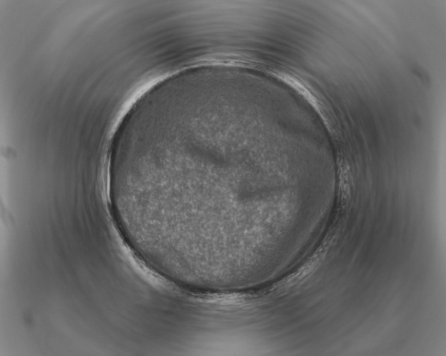 X0000090611131200708071158