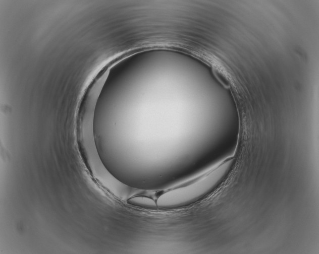 X0000090611132200708071158