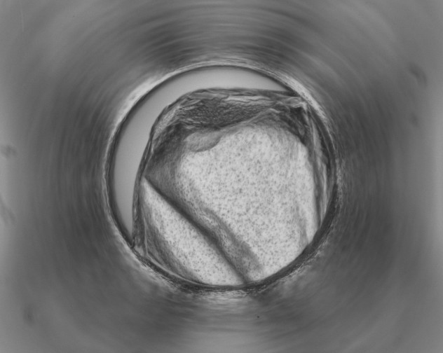 X0000090611133200708071158