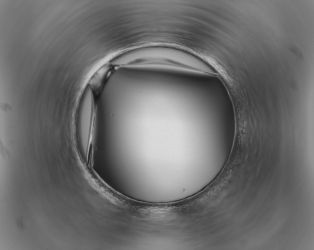 X0000090611134200708071158