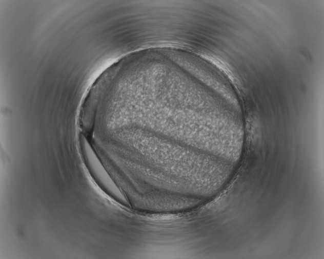 X0000090611135200708071158