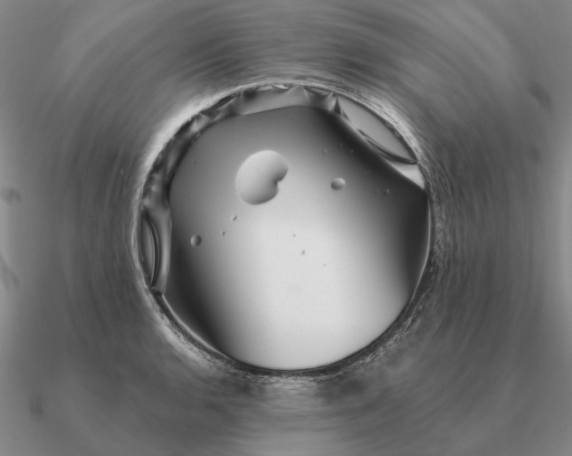 X0000090611136200708071158