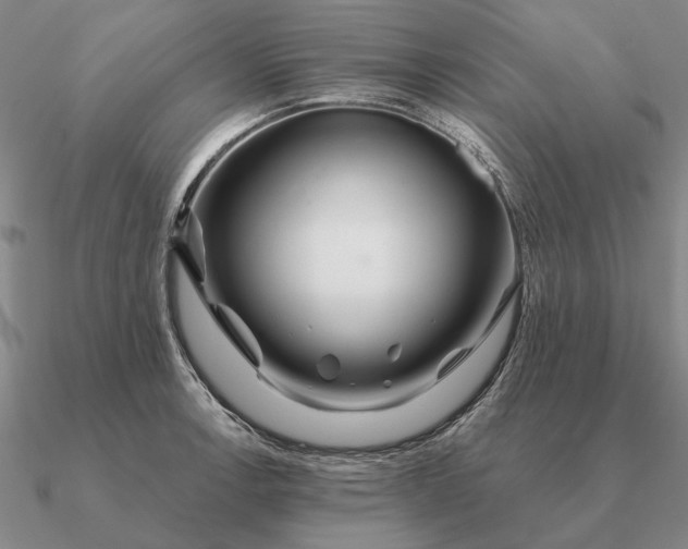 X0000090611138200708071158