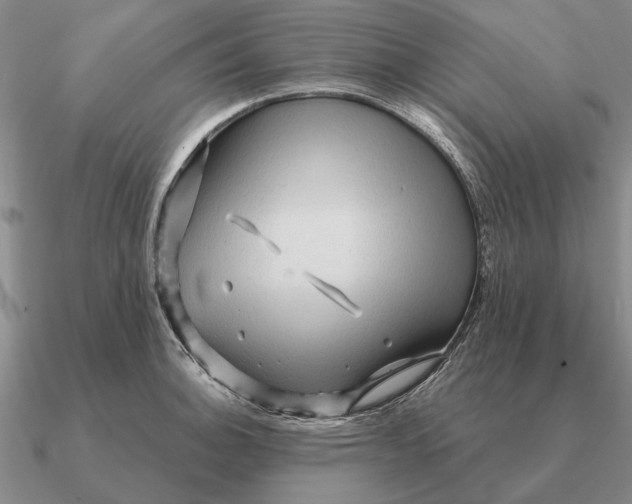 X0000090611140200708071158