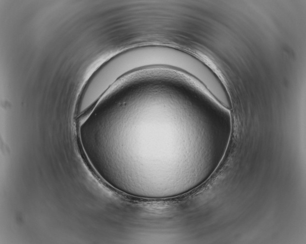 X0000090611141200708071158