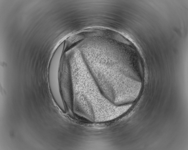 X0000090611145200708071158