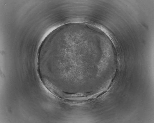 X0000090611147200708071158