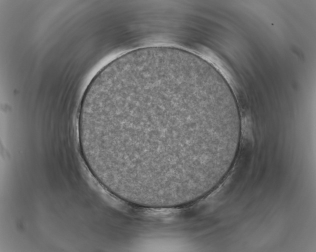 X0000090611150200708071158