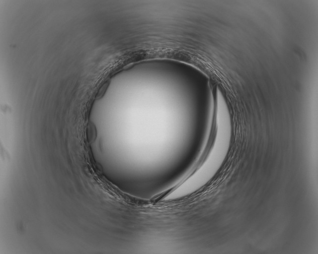 X0000090611153200708071157