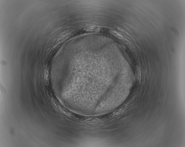 X0000090611154200708071157