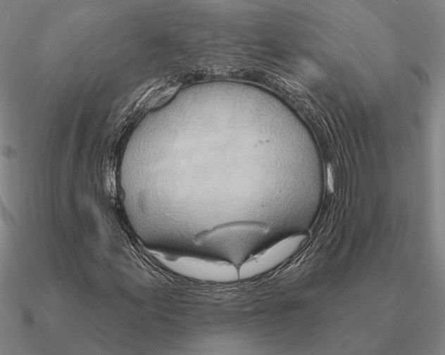 X0000090611155200708071157