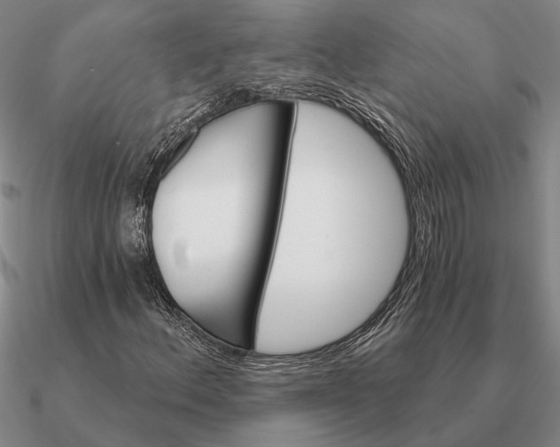 X0000090611156200708071157